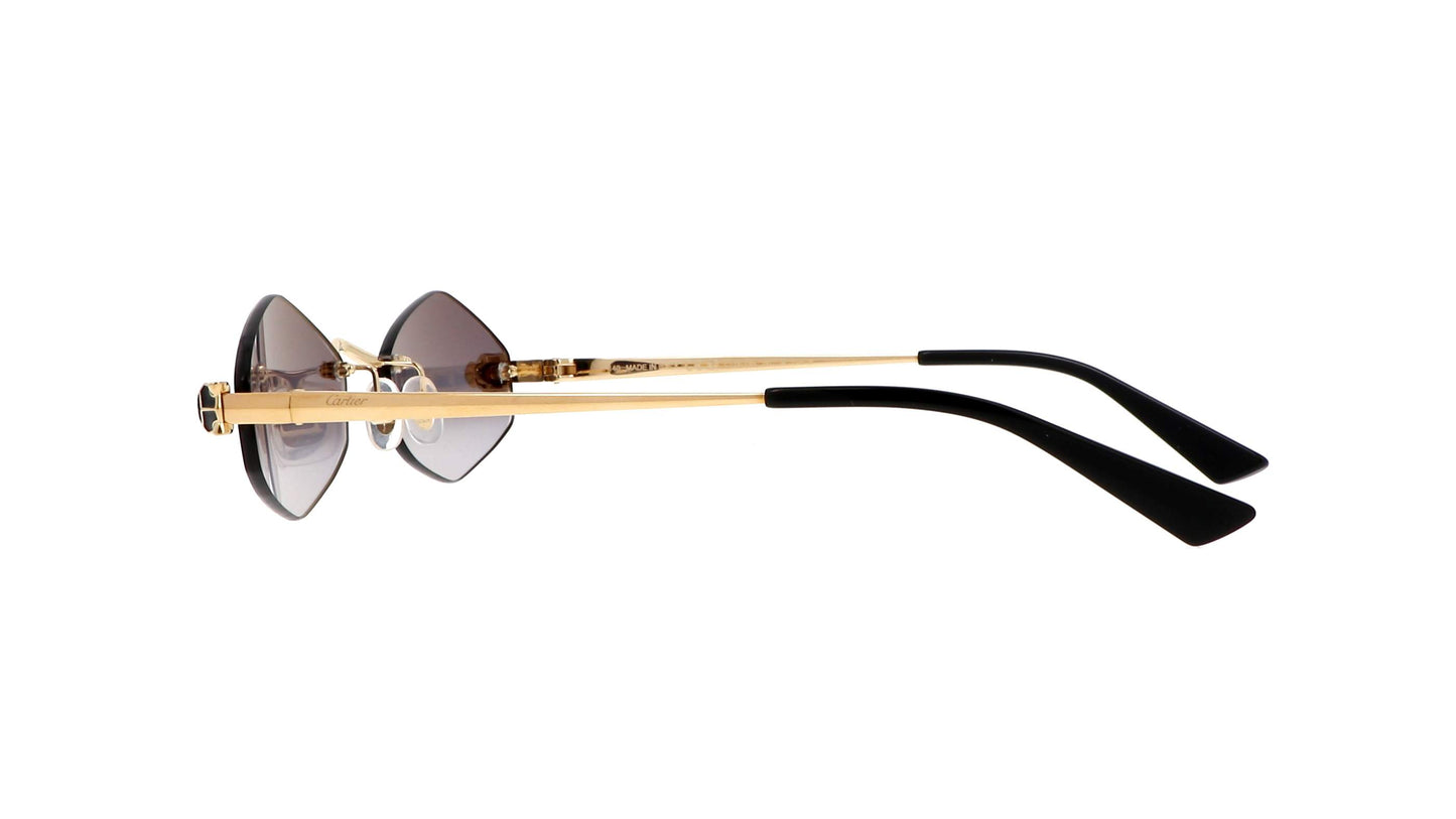Lunettes CARTIER CT0433S-001