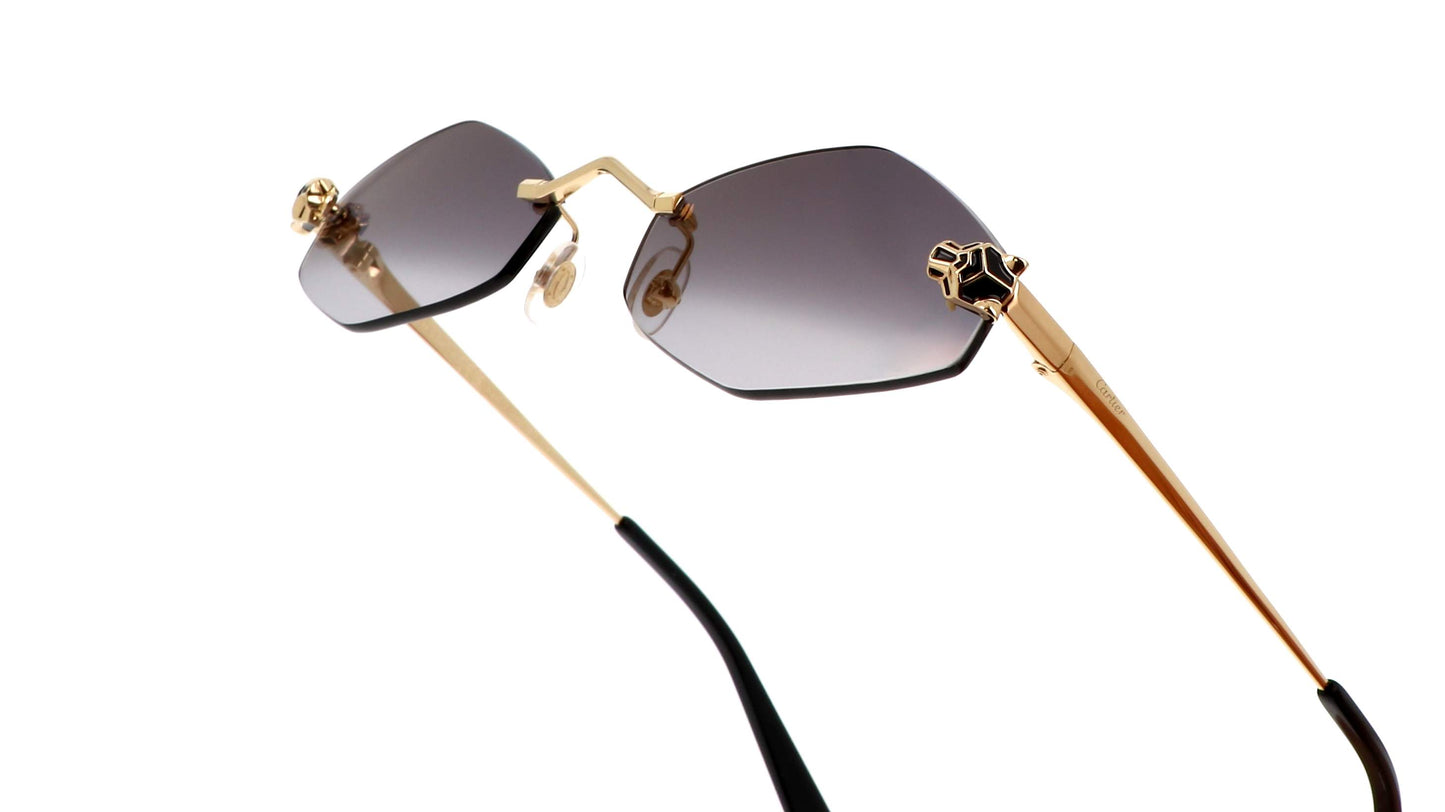 Lunettes CARTIER CT0433S-001