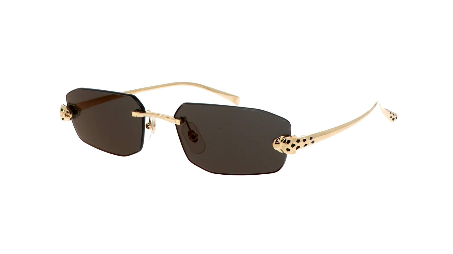 Lunettes CARTIER CT0474S-001