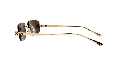 Lunettes CARTIER CT0474S-001
