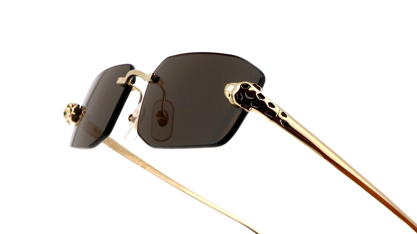 Lunettes CARTIER CT0474S-001
