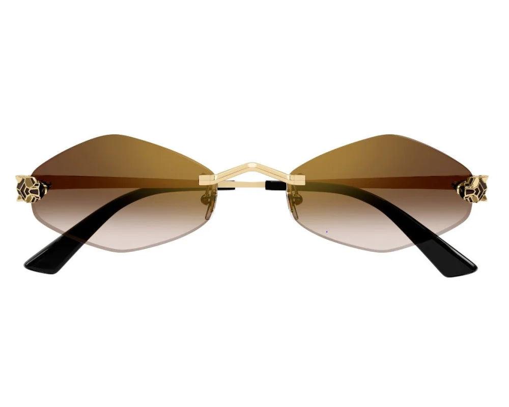 Lunettes CARTIER CT0433S-002