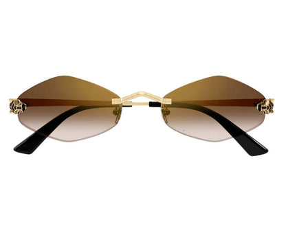 Lunettes CARTIER CT0433S-002