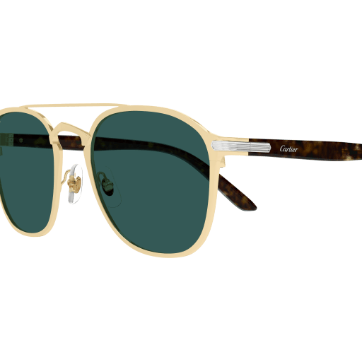 Lunettes CARTIER CT0012S-006